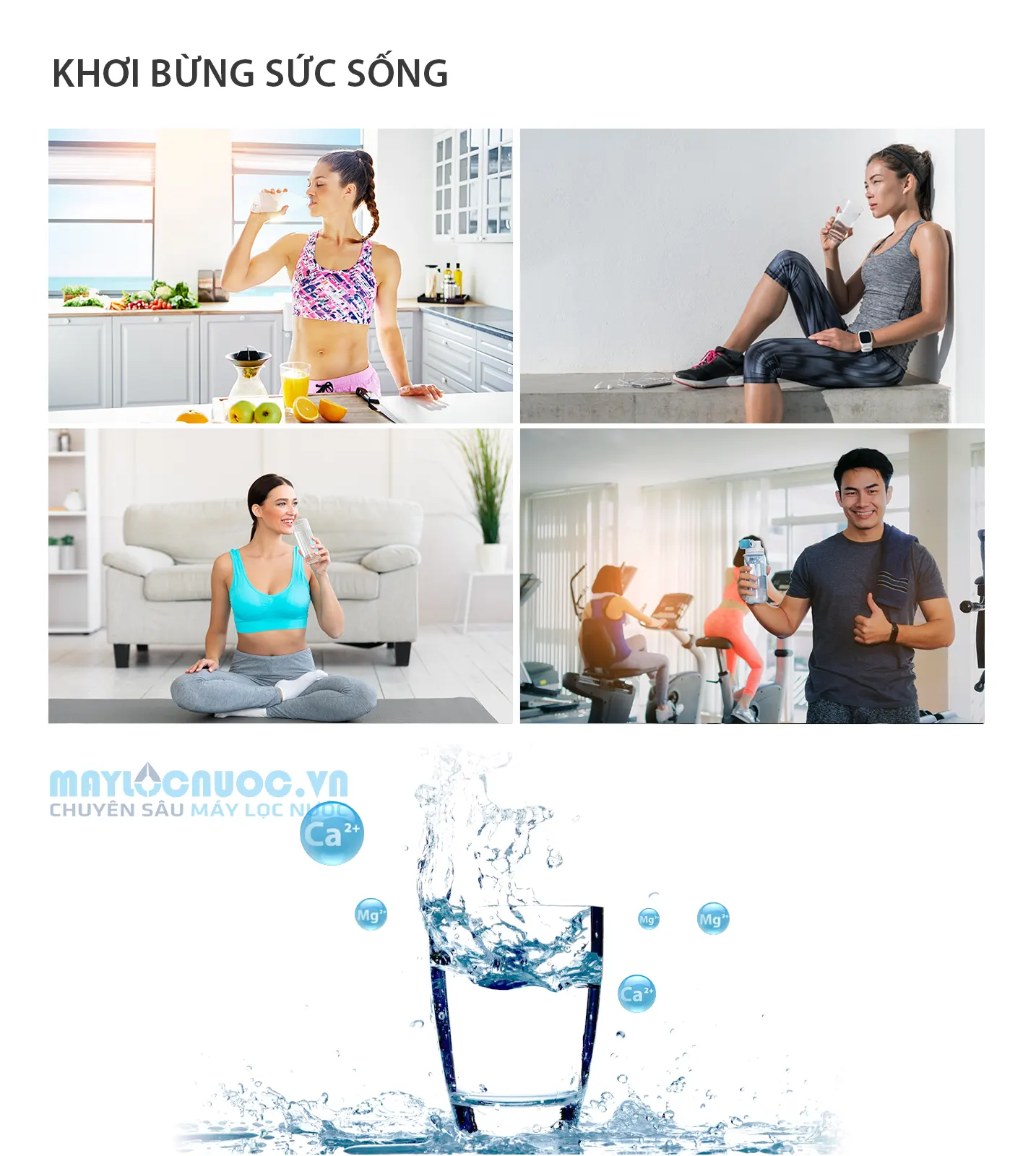 Máy lọc nước A. O. Smith VITA Plus