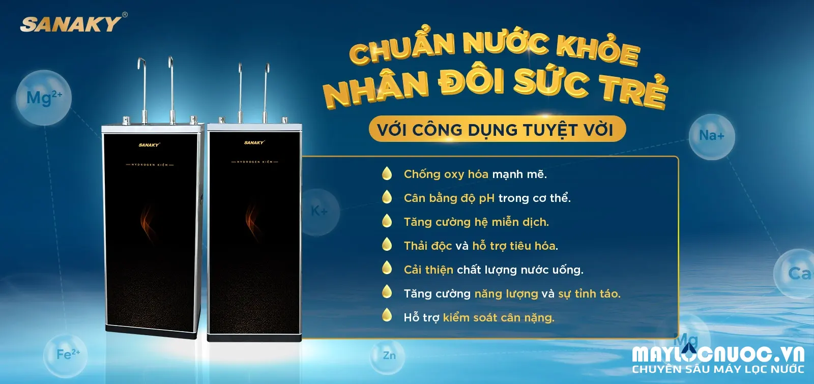 Máy lọc nước Sanaky SNK-E2HK006