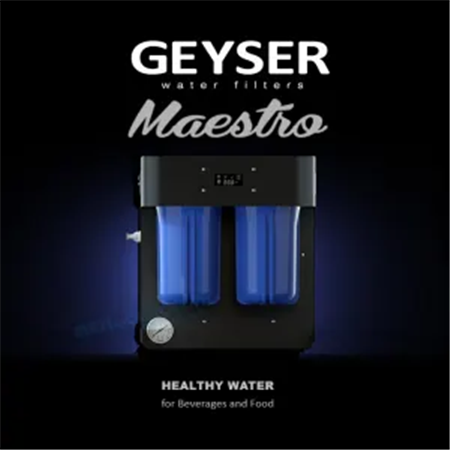 Máy lọc nước chuẩn khoáng Geyser Meastro 2000