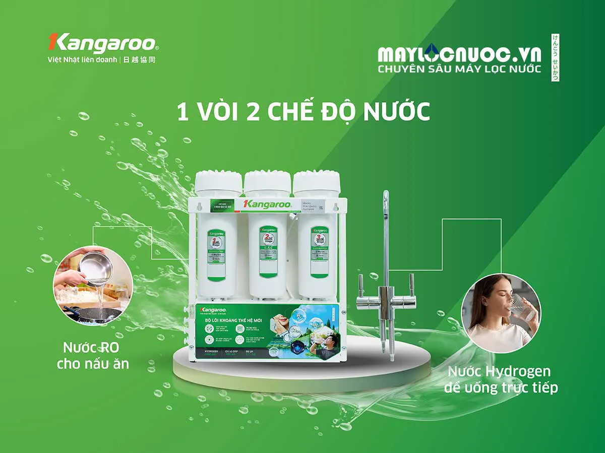 Máy lọc nước Kangaroo KGRP08K