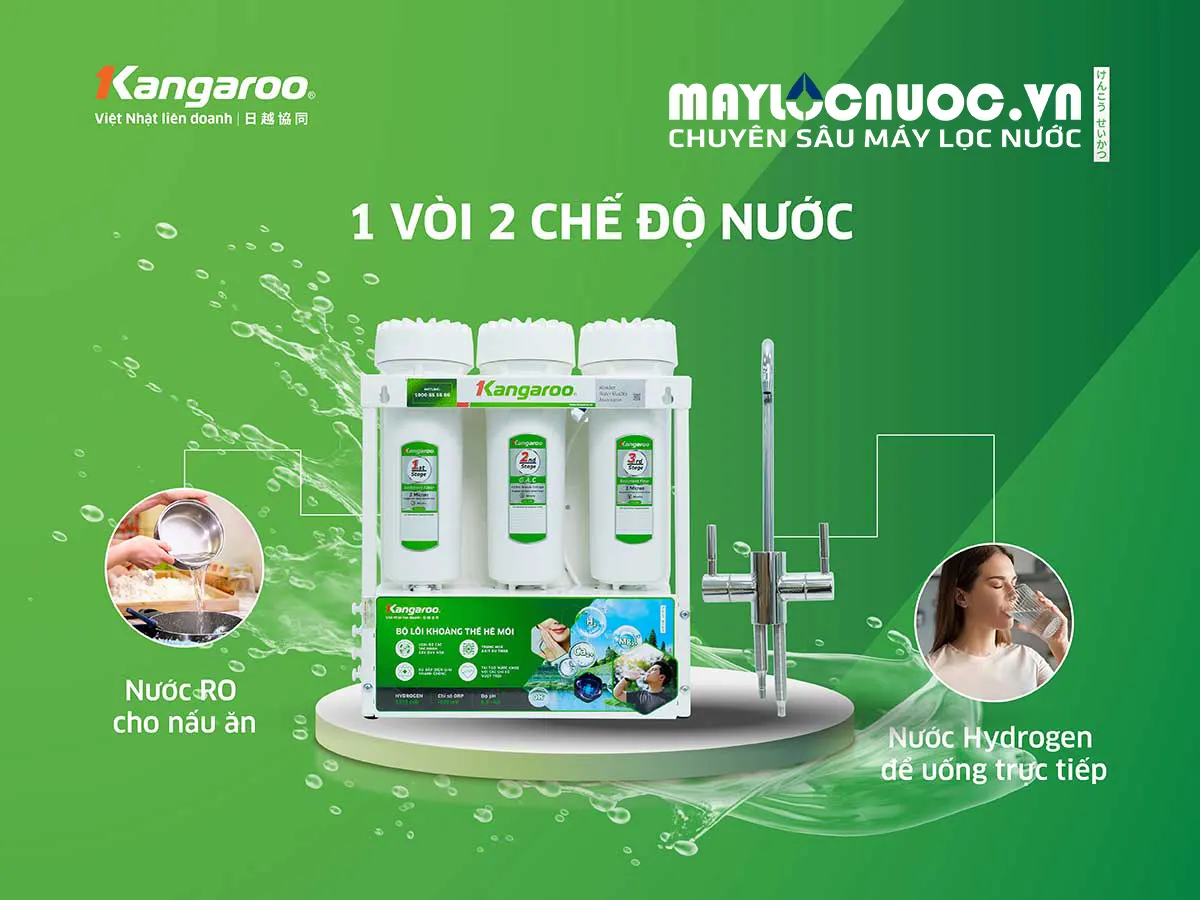 Máy lọc nước Kangaroo Hydrogen KGHP12K
